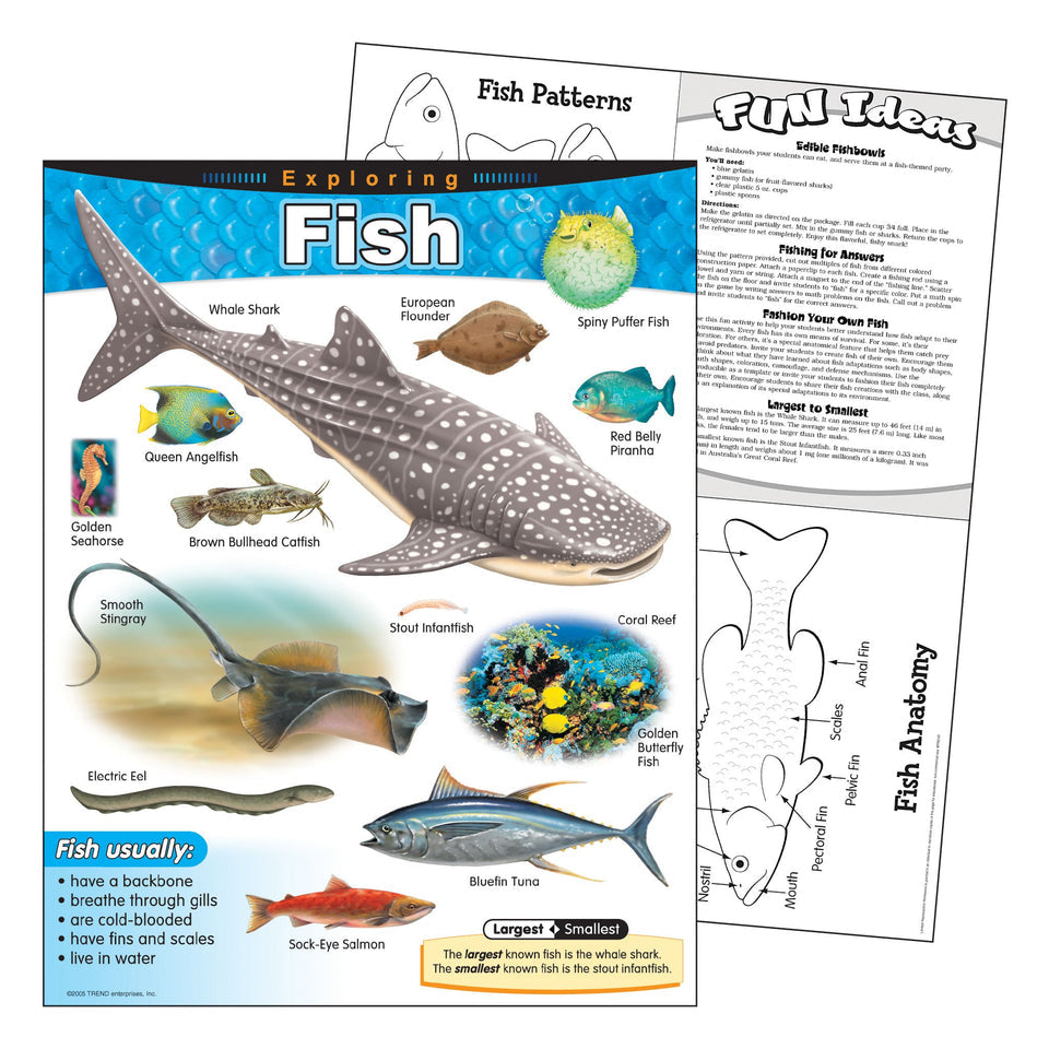 Exploring Fish Learning Chart