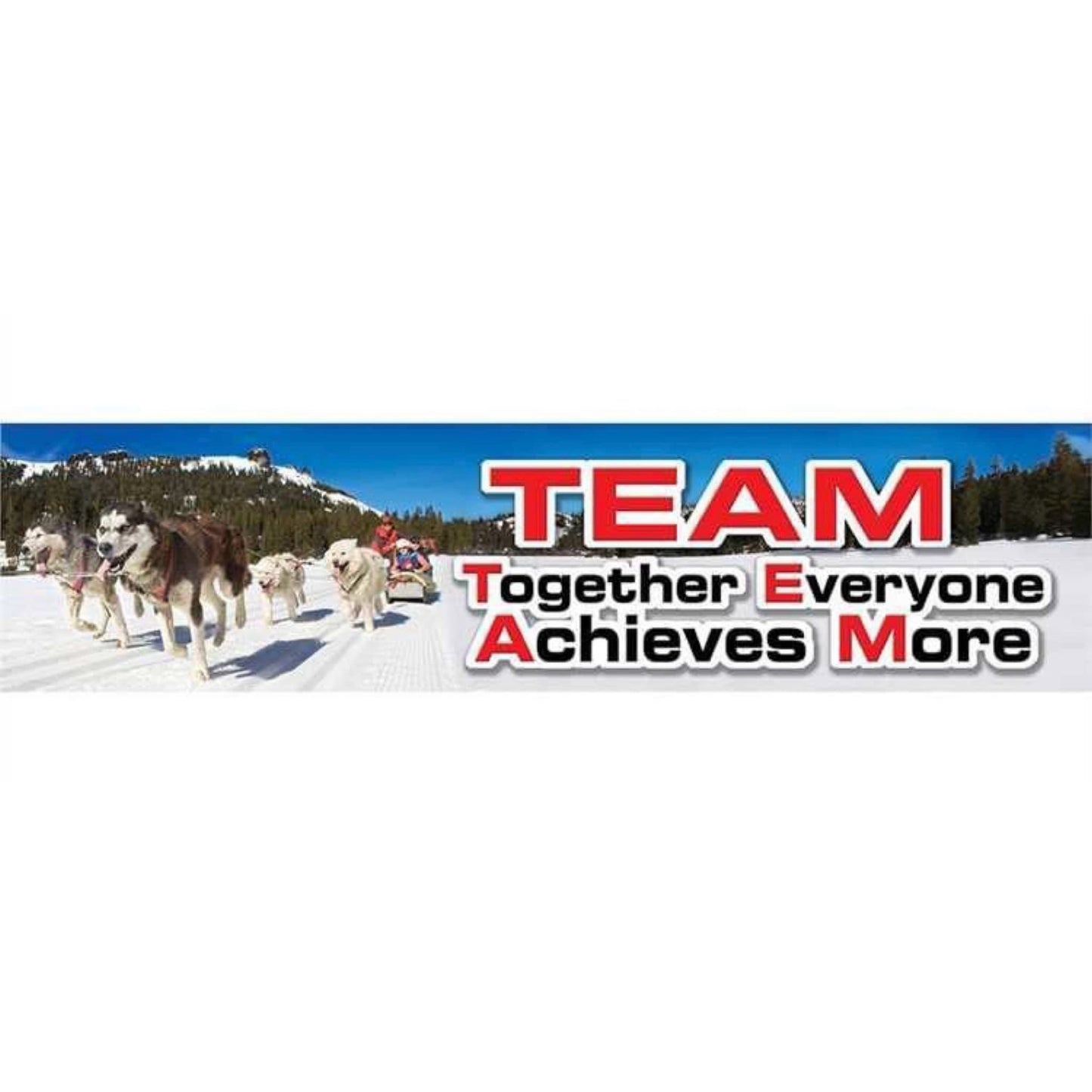 TEAM Motivational Banner. 45” x 12”