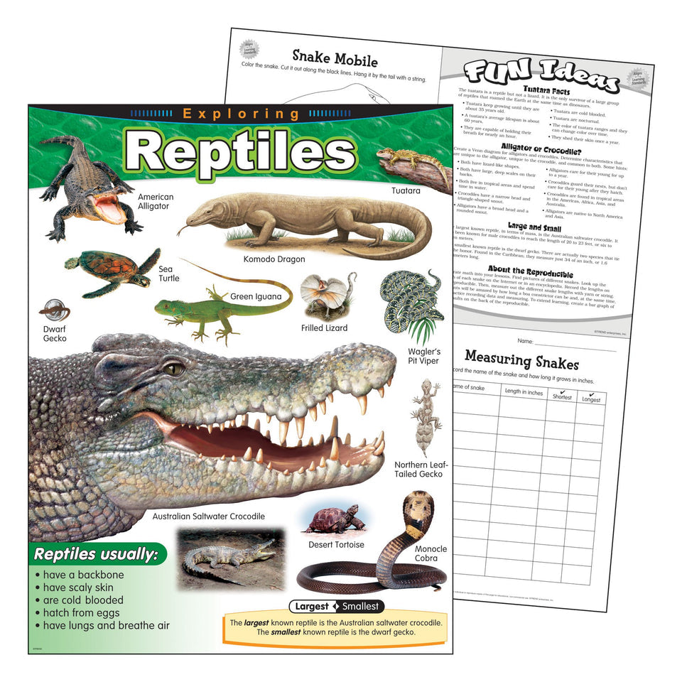 Exploring Reptiles Learning Chart