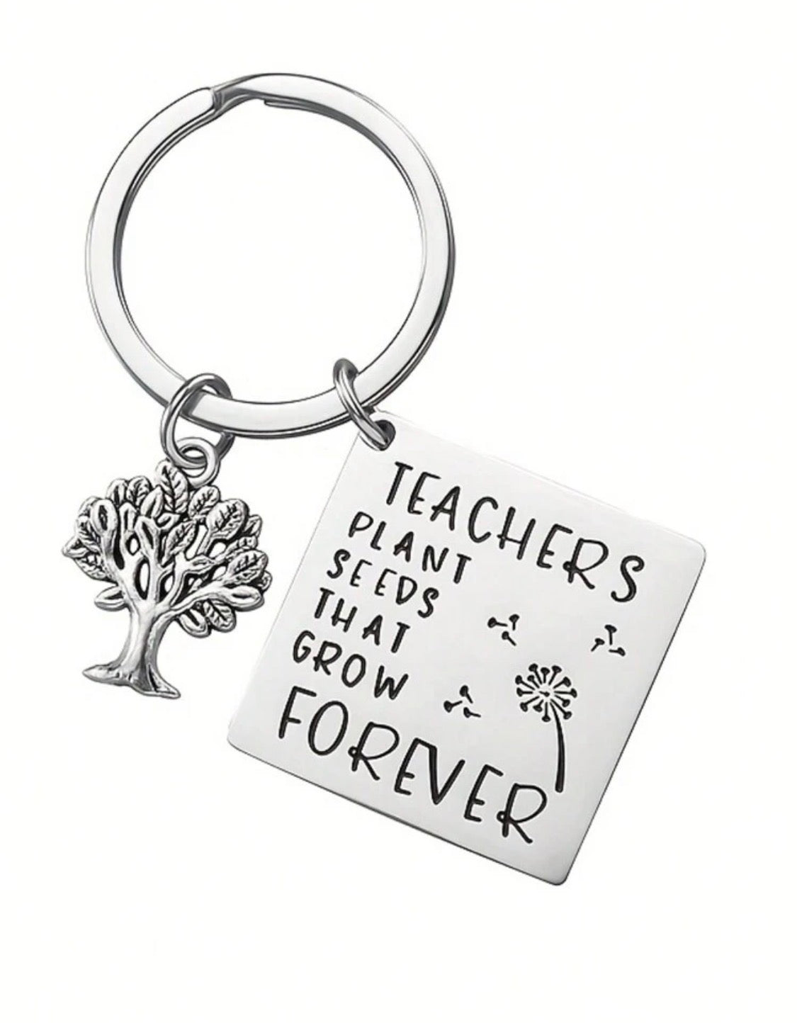 Teachers Plant Seeds That Grow Forever Inspirational Teacher Keychain