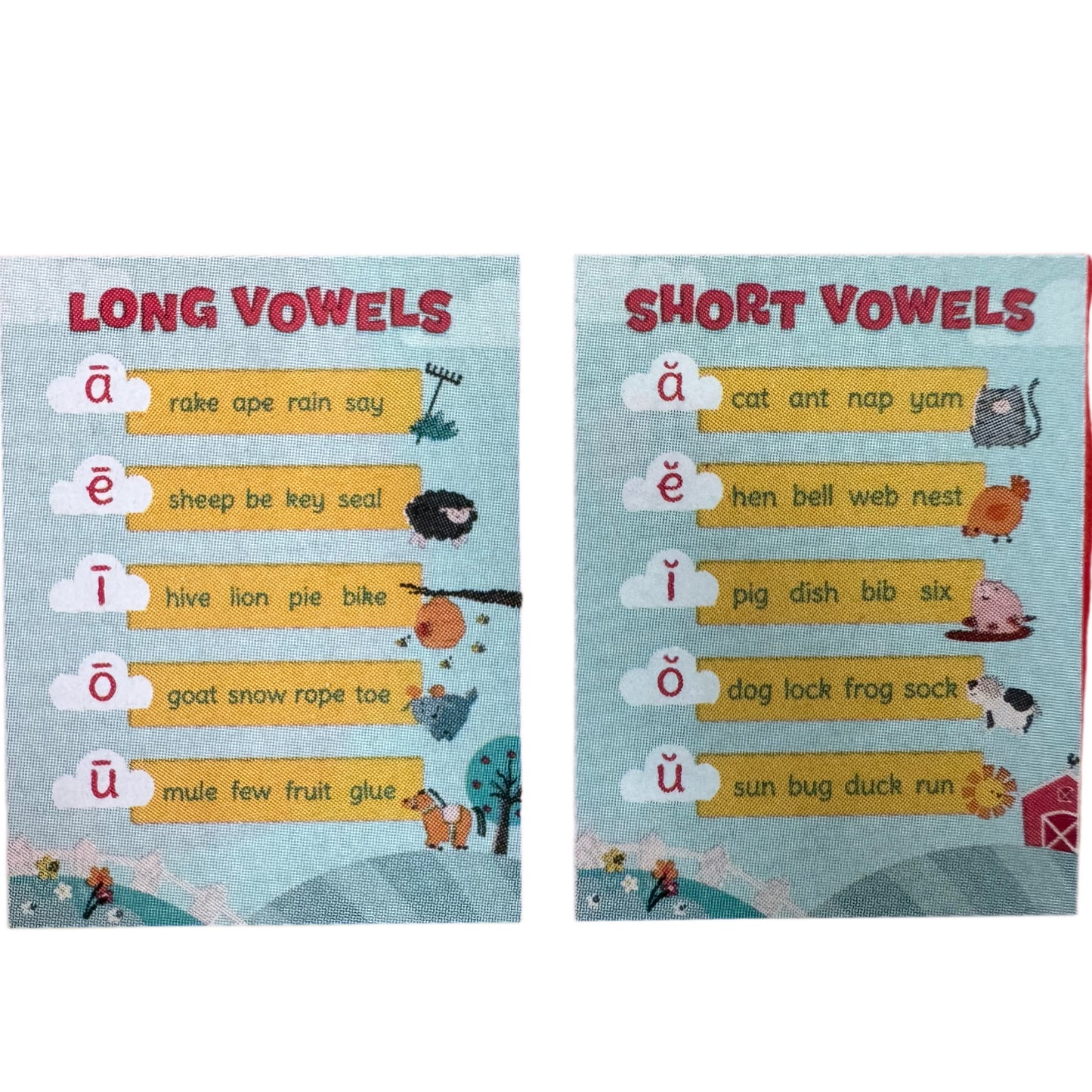 2-pack Learning Charts - Long & Short Vowels