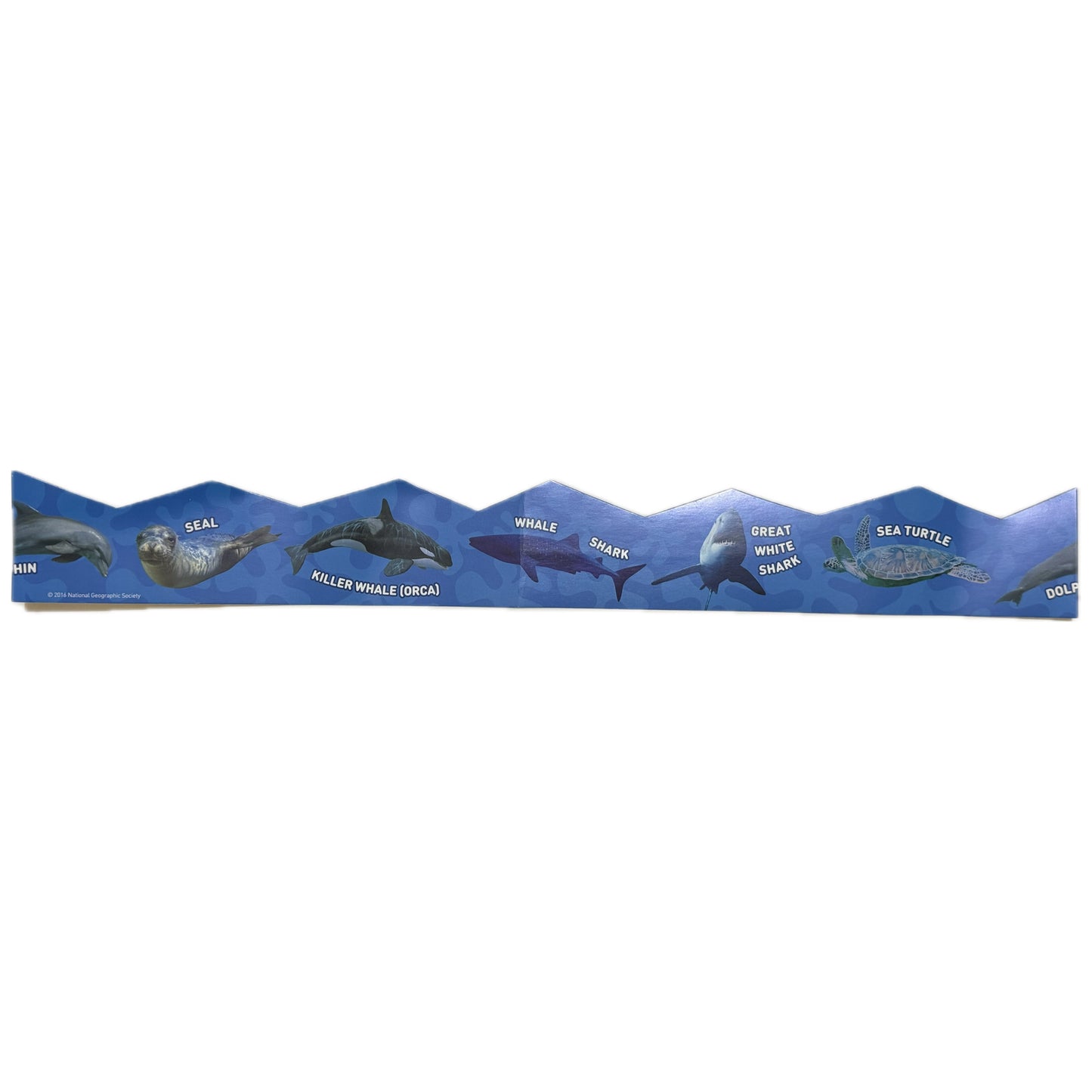 National Geographic Ocean Animals Borders. 2.5” x 18”. 14 ct
