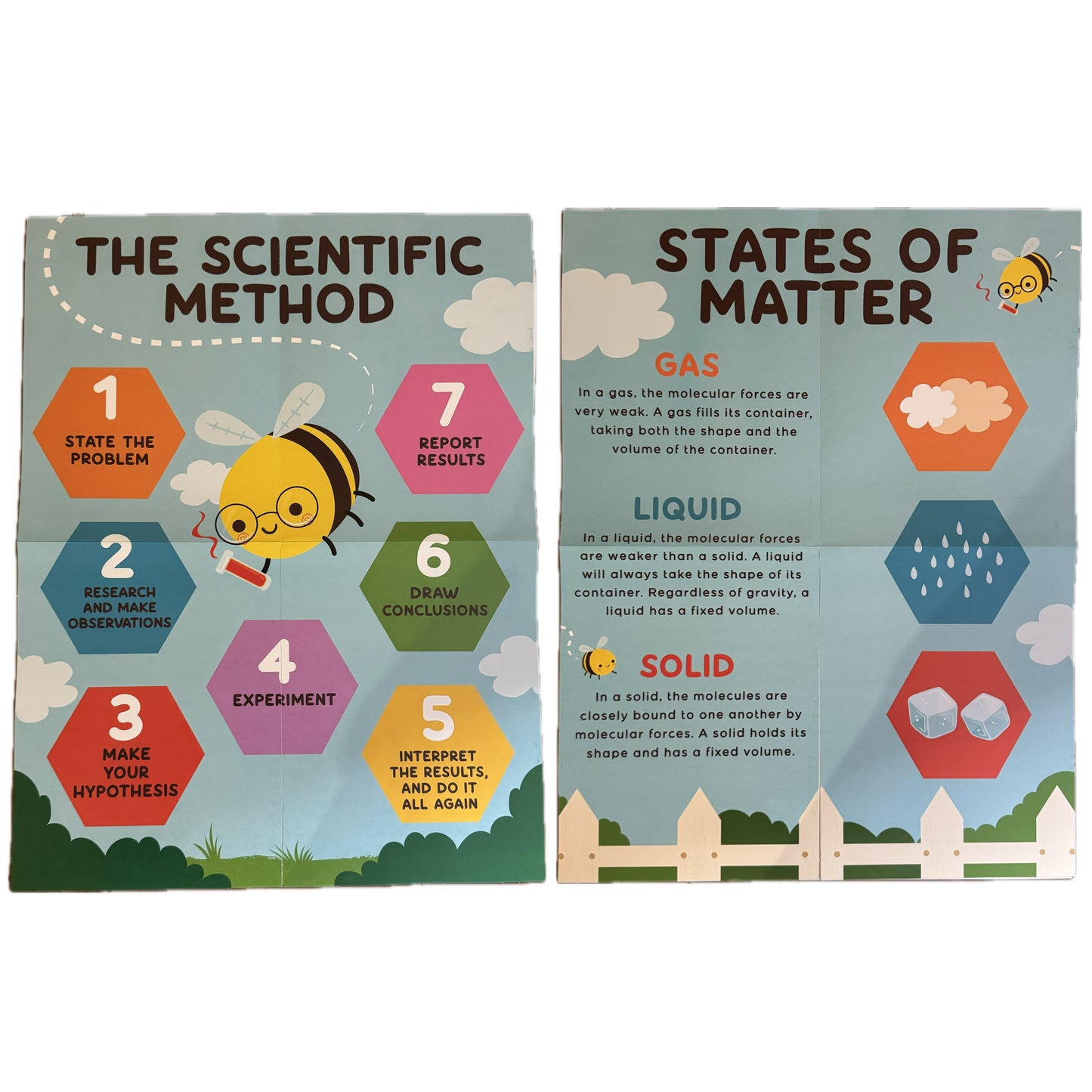 Scientific Method & State of Matter Educational Charts. 2 pieces
