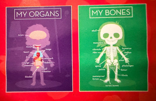 2-pack Posters: My Organs & My Bones