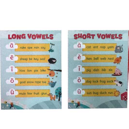 2-pack Learning Charts - Long & Short Vowels