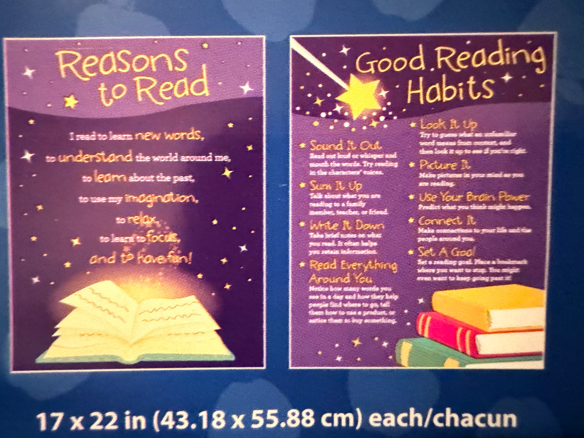 2-pack Posters: Reasons to Read & Good Reading Habits