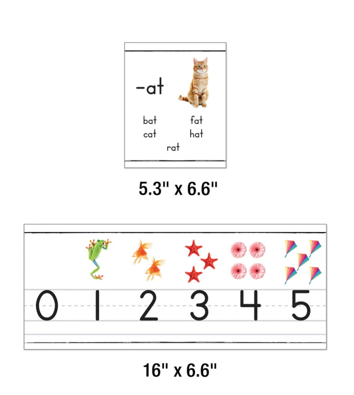 Photographic Alphabet, Numbers & CVC Word  Family Bulletin Board Set. 33 pieces